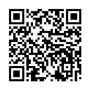 那尊炼化了十八枚本命晶核的大圆满强者二维码生成