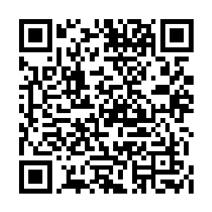 那小子再不来你们就把这间房子租下来守在这里二维码生成