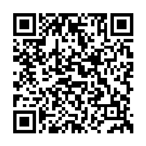 那小模样完全就是孩童被大人夸赞露出的小兴奋二维码生成