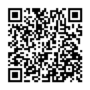 那小老头可是让他再假装受点小伤的……怎么办二维码生成