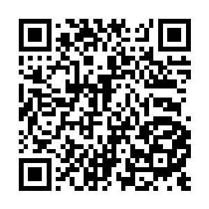 那少女容貌秀丽只可惜半边的脸上却是大片的疤痕二维码生成