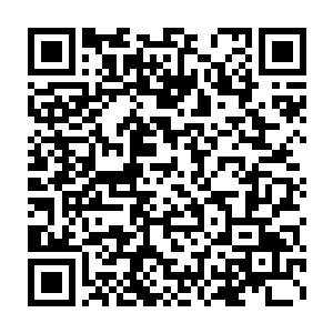 那尖骷的船队那边在古龙舟的仙军大队长一声厉喝之后果然安静了二维码生成