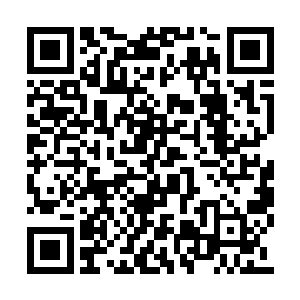那尘封了许久的大宅之门便是吱吱呀呀的打开了二维码生成