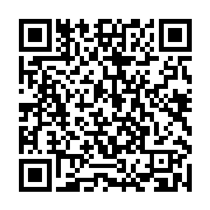 那就不要想在我们东方院线拿到一分钱的后续票房了二维码生成