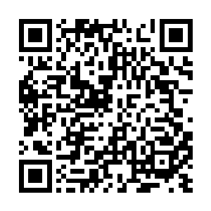 那就代表着灭叶组织已经决定彻底放弃红河集团了二维码生成