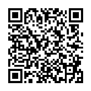 那就像是一头几十米长的恐龙要掌控每一个神经末梢一样二维码生成