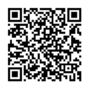 那就像是将数百种最狰狞和丑恶的爬行类以及节肢类融合到一起二维码生成