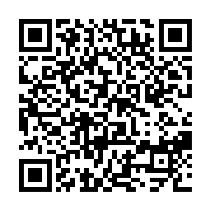 那就只剩下一种可能……恐怕那东西是钻到地下去了二维码生成