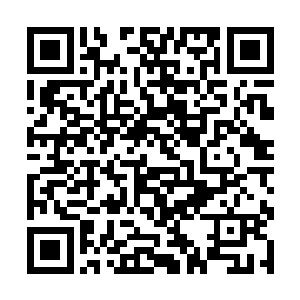 那就只有一个可能――它是从那枚巨蛋中孵化出来的二维码生成