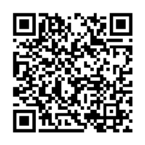 那就同归于尽好了……我早就猜到了遇上你的结果二维码生成