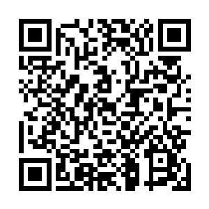 那就好像有人把烧红的钢针狠狠戳到了他的十个指甲盖里二维码生成
