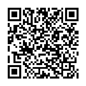 那就完全不够看了……但是小貂也是非常滑溜的二维码生成