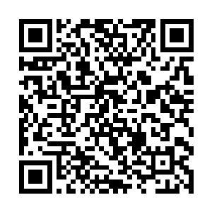 那就得以能克制土属性的木属性归真境界灵力才能了二维码生成