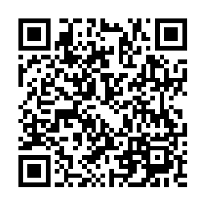 那就必须拖着秦方与它大战一场……秦方在减慢战斗节奏二维码生成