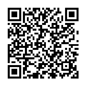 那就恕我孙家不能冒着倾家灭族的危险与董贼强硬厮杀了二维码生成