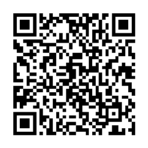 那就我挑衅出来几个人和你进行一对一的战斗怎么样二维码生成