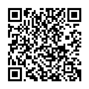 那就把最强大的召唤兽召唤回来--一定要是最强大的召唤兽啊二维码生成