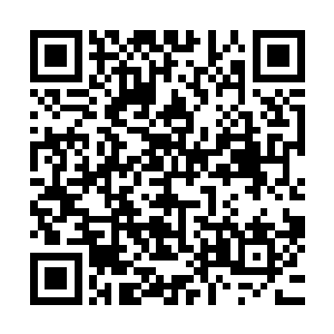 那就拥有了差不多等同凤族有记载的最强凰者冥凰前辈的实力二维码生成
