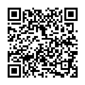 那就是丁羽跟俄罗斯方面的谈判可以说是非常的好二维码生成