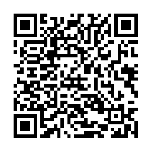 那就是代表粉丝提问了解他们心中偶像的一些信息二维码生成