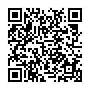 那就是作为当时惨案第一目击证人和苦主的范籍正二维码生成