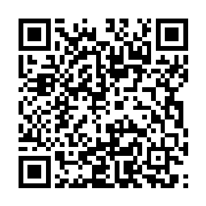 那就是你必须得保证你的队友能在你死后进行收割二维码生成