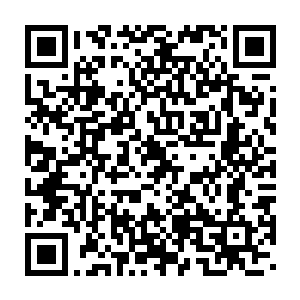 那就是凤凰之城内很可能有着令他们这些圣级大修士都畏惧的危险二维码生成