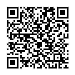 那就是前往那些大城市用武力强行驯服那些实力不弱的佣兵团二维码生成