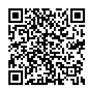 那就是原本的袁鸿跟现在的袁洪根本就是一个人二维码生成