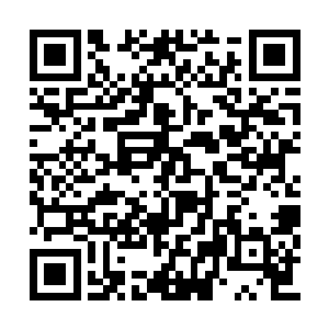 那就是向天明一直觉得是她杀了他朋友整个家族二维码生成