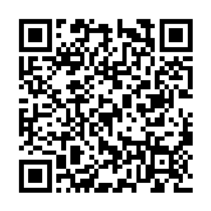 那就是商团议事……龙鳞城想组建通往中州的商团二维码生成