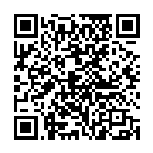那就是因为日族那个炼丹师没有丹一那么多草药去挥霍二维码生成