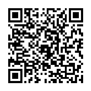 那就是在探究战技和身法在方寸之间和细微之处的奥妙二维码生成
