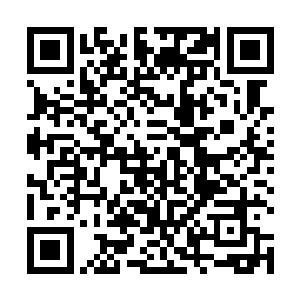 那就是如果她现在就和当年打她父亲的大姑姐直面冲突二维码生成