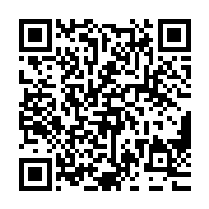 那就是孙海现在对荣光在新赛季的表现突然充满了憧憬和期待二维码生成