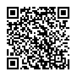 那就是对于你们这些神皇魔皇一级的绝世强者来说二维码生成