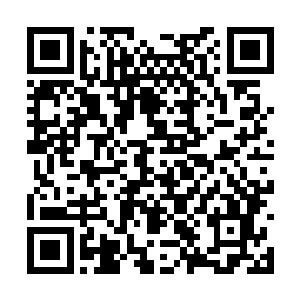 那就是将所有参与黄盐城劫掠事件的山民斩杀一空二维码生成