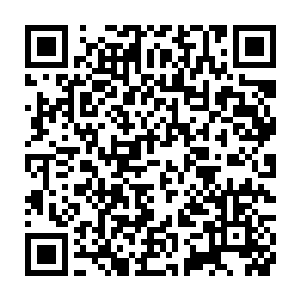 那就是小个子的队友可以另外选出一个队员来代替小个子上场打架二维码生成