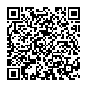 那就是布拉佩周围这些村庄里许多人家都养的鸡鸭和鹅这样的家禽二维码生成