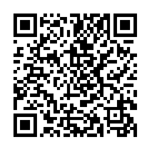 那就是应该尽自己最大努力帮原主的生活弄的妥妥的二维码生成