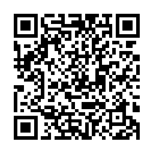 那就是张铁要攻克的下一个目标――第一个脊椎明点二维码生成