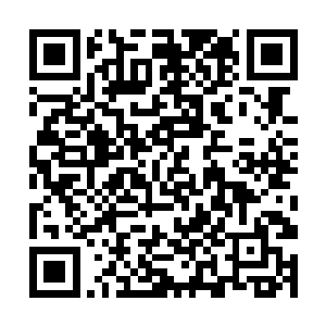 那就是很多工作其实既可以市委书记市长一起去汇报二维码生成