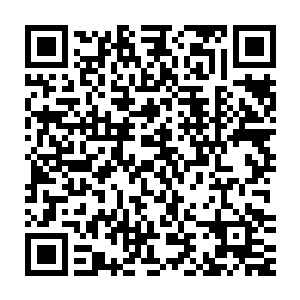 那就是想要族长和祭祀跟凌菲交涉换一些那个可以对付杀人蜂的草药二维码生成
