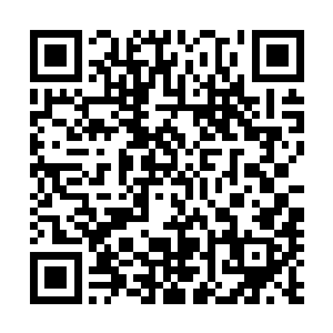 那就是我们国家的经济实力迅速壮大和国际地位的不断提升二维码生成