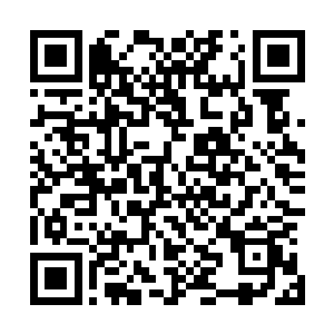 那就是施法者灌输的本命真元是无法通过休息和吃药回复的二维码生成