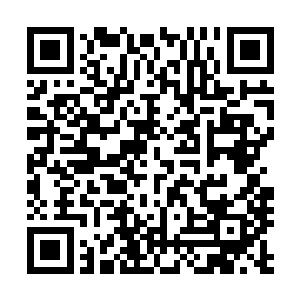 那就是电影理论大师据说他推断出过所有会卖座的电影类型二维码生成