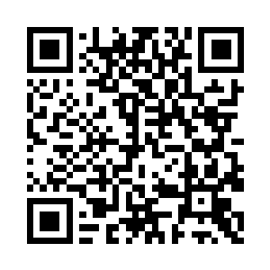 那就是自然之叶世界树在费南分支的叶子二维码生成