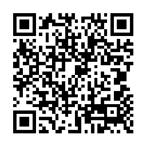 那就是荣光怎么和已有的国家队融合在一起……二维码生成