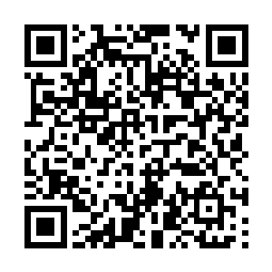 那就是表示印度已经做好了伸头被痛宰的准备天门二维码生成