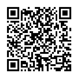 那就是认可了东门真人在这一天的收获――战舟和援兵都到了二维码生成